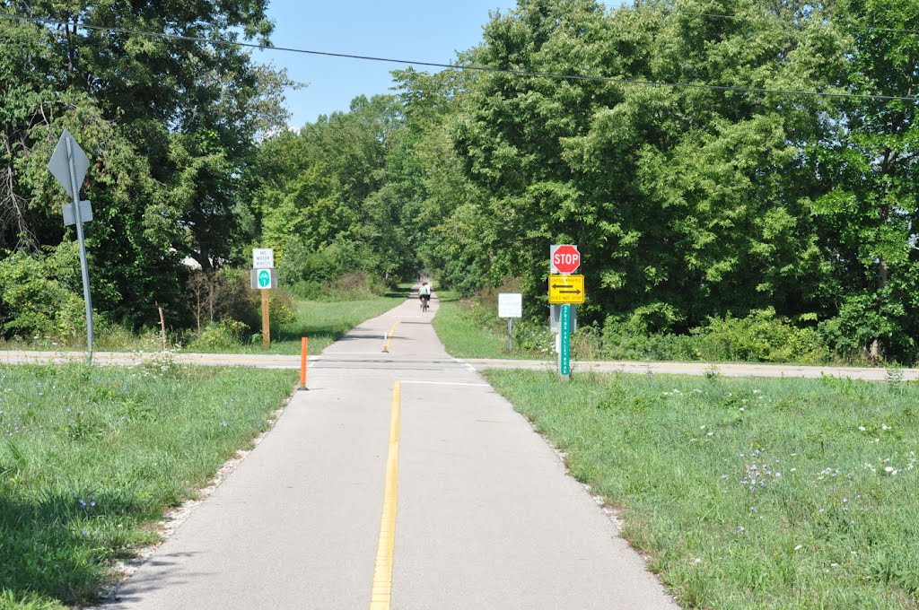 Roberts Pass Trail at Spring Valley Road