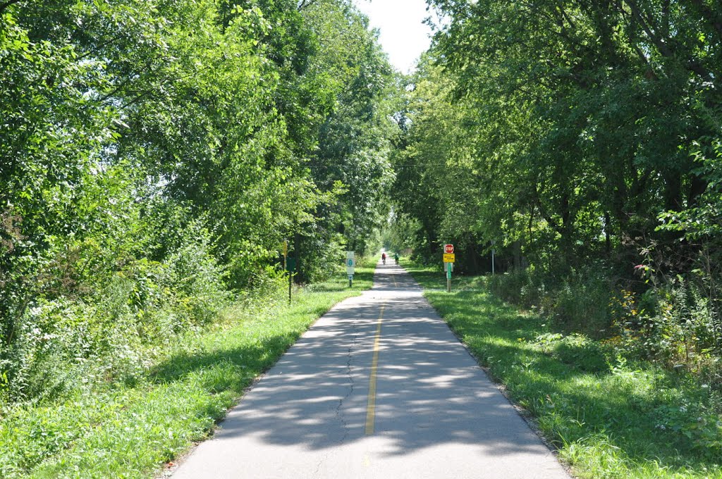 Roberts Pass Trail at Glade Run Road