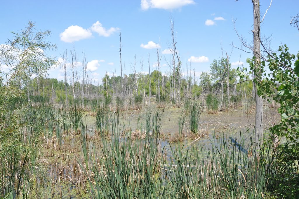 Choctaw Lake