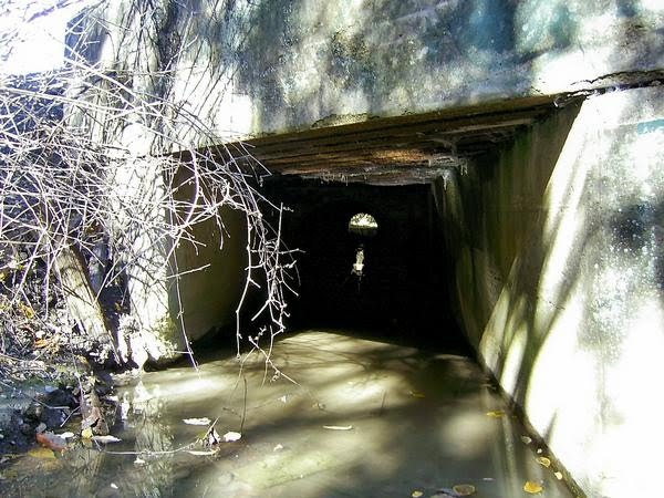 Linder park in the creek