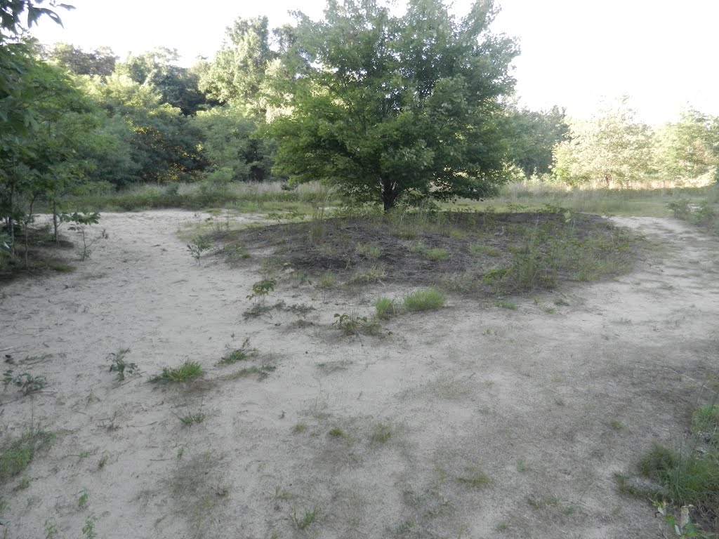 Sand Barrens