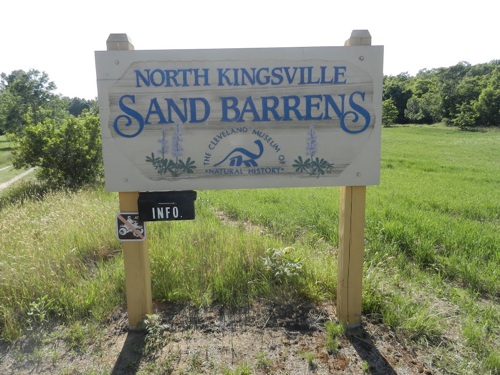 North Kingsville Sand Barrens