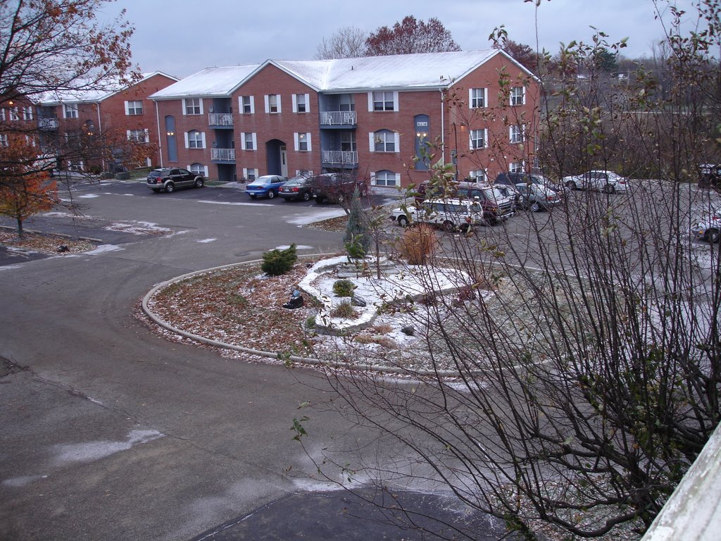 First Dusting at Four Worlds