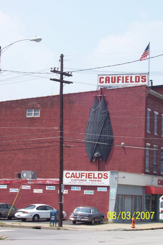 Worlds Largest "Bat"?  Only 1 block from Louisvilles other large bat