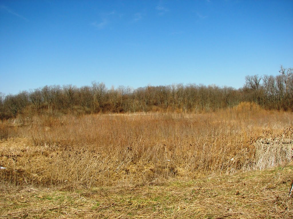 Open field behind shopping center,  Colerain Twp Ohio