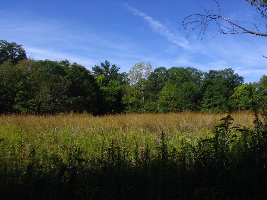 Field @ Farbach-Warner Nature Preserve