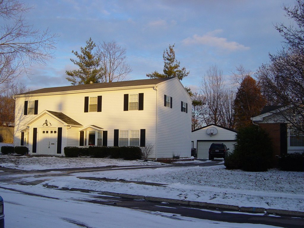 Springfield, Zilis house