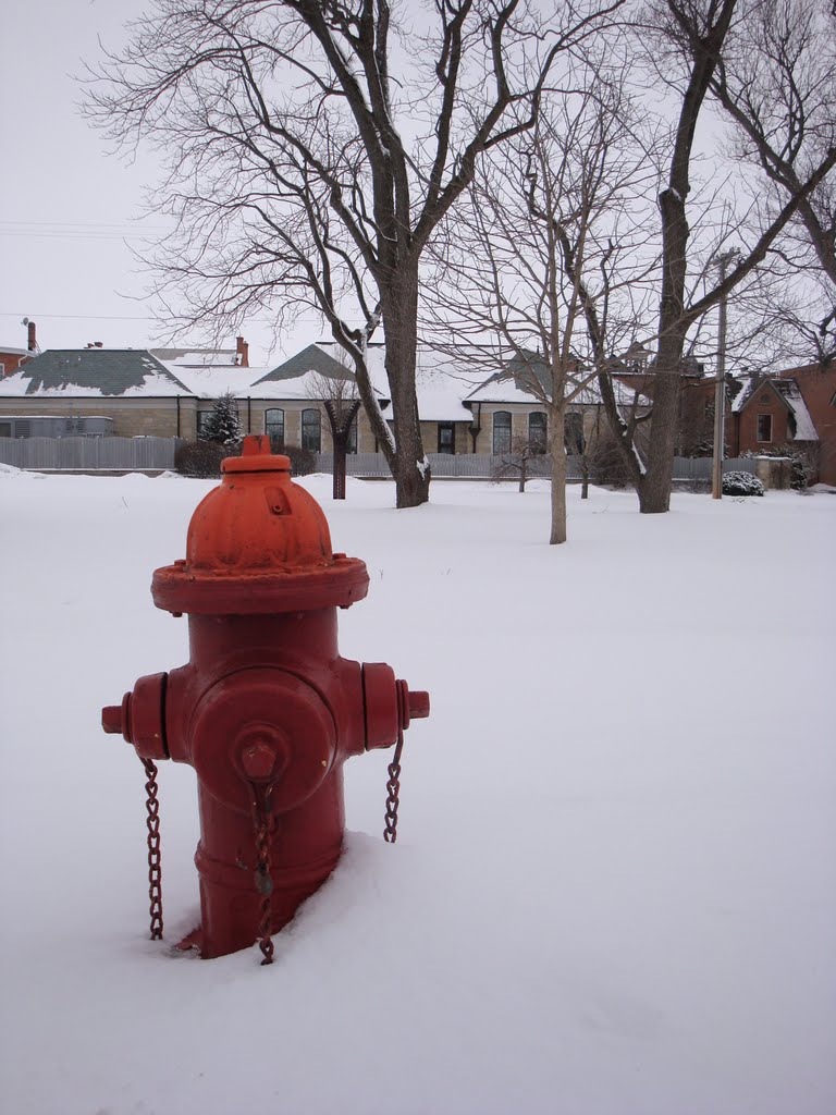 Red Fire Hydrant