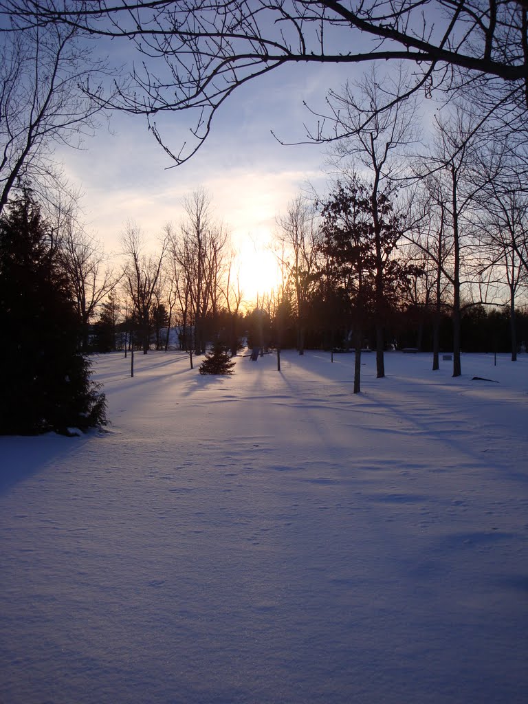Sunset -20