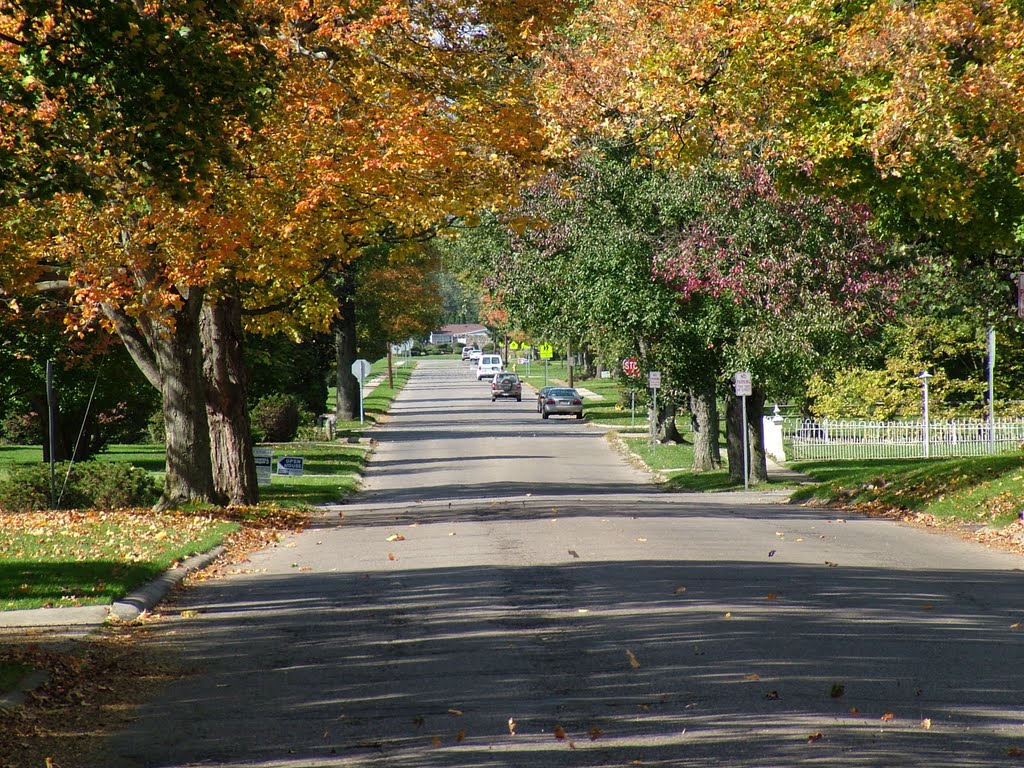 Fall on Jefferson Road