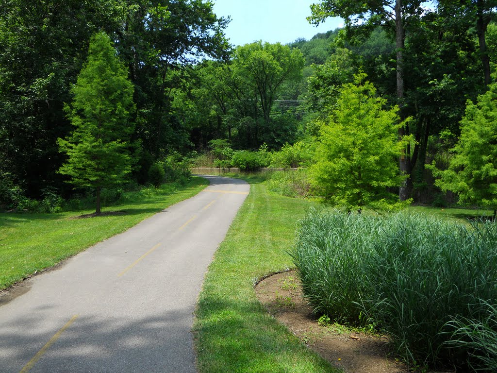 Leaving Terrace Park