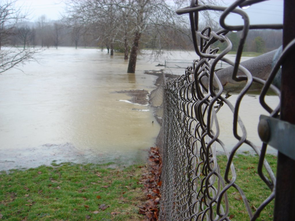 Chain Link in Flood