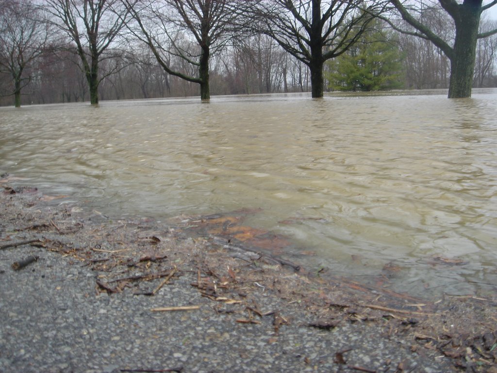 Golf Cart Path Underwater