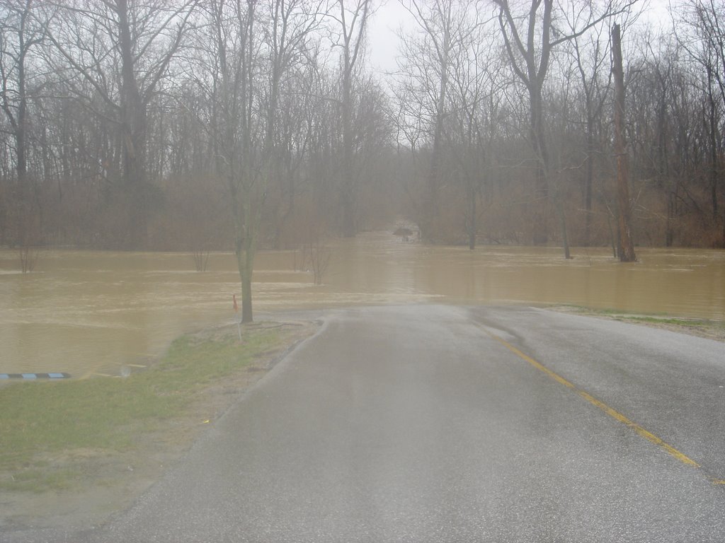 Driveway in Flood