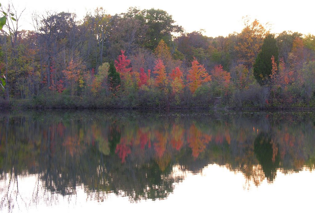 View Across Pond - Oberlin