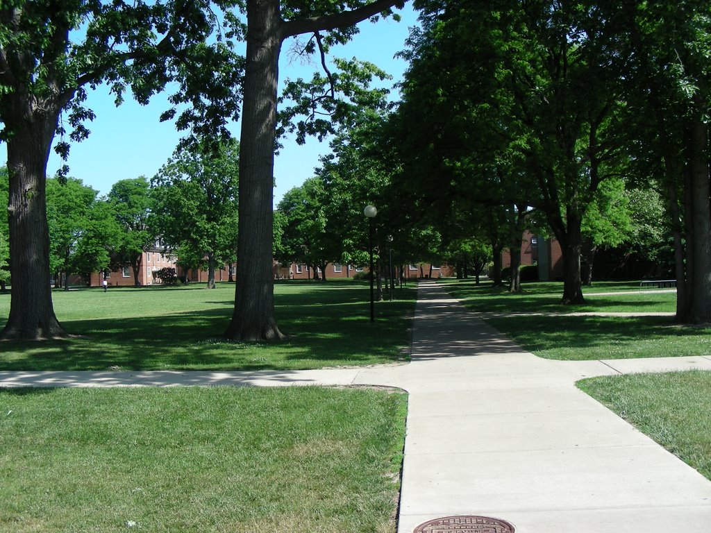 North Quad, looking north