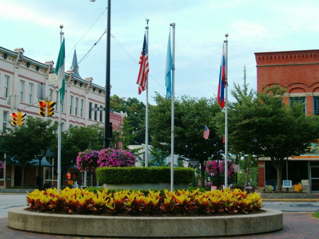 Tappan Square- Site of the Historic Elm Oberlin, Ohio