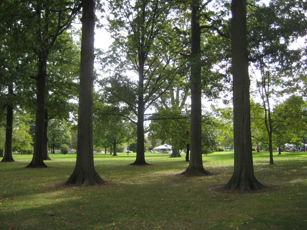 Oberlin College Campus