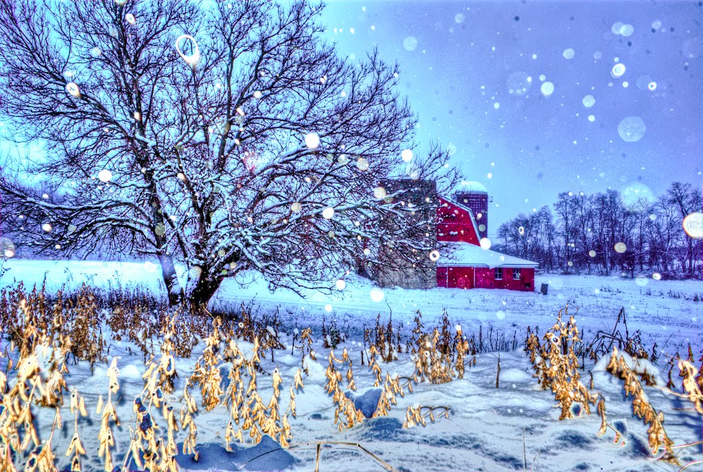 Old Barn in Ohio