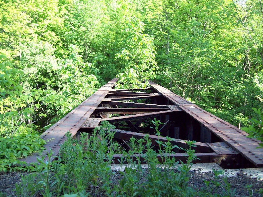 Abandoned B&O Railroad Bridge top