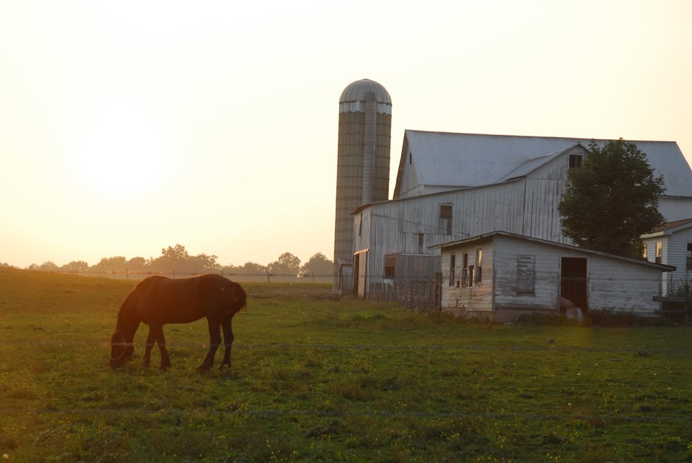 Amish barn
