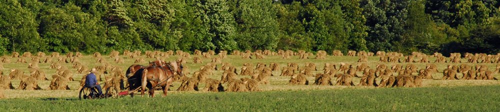 Amish farming
