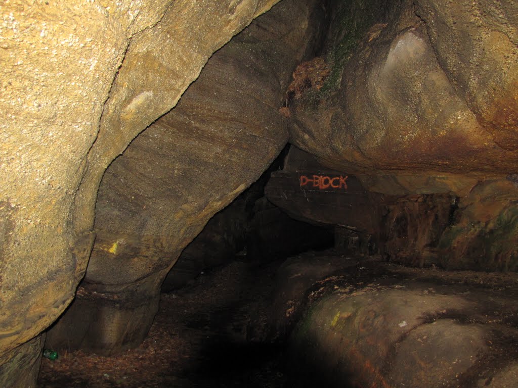 Nelson & Kennedy Ledges Cave