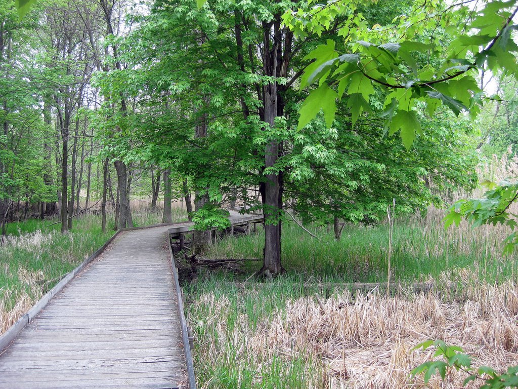 Maumee Bay State Park Trail
