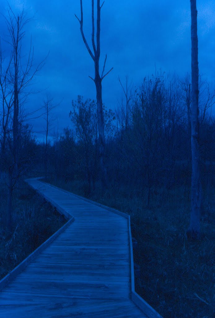 Boardwalk Maumee Bay State Park