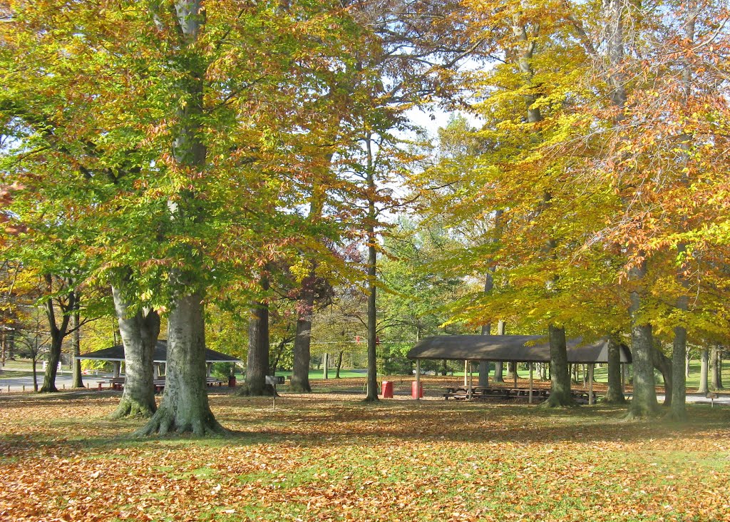 Orr Park