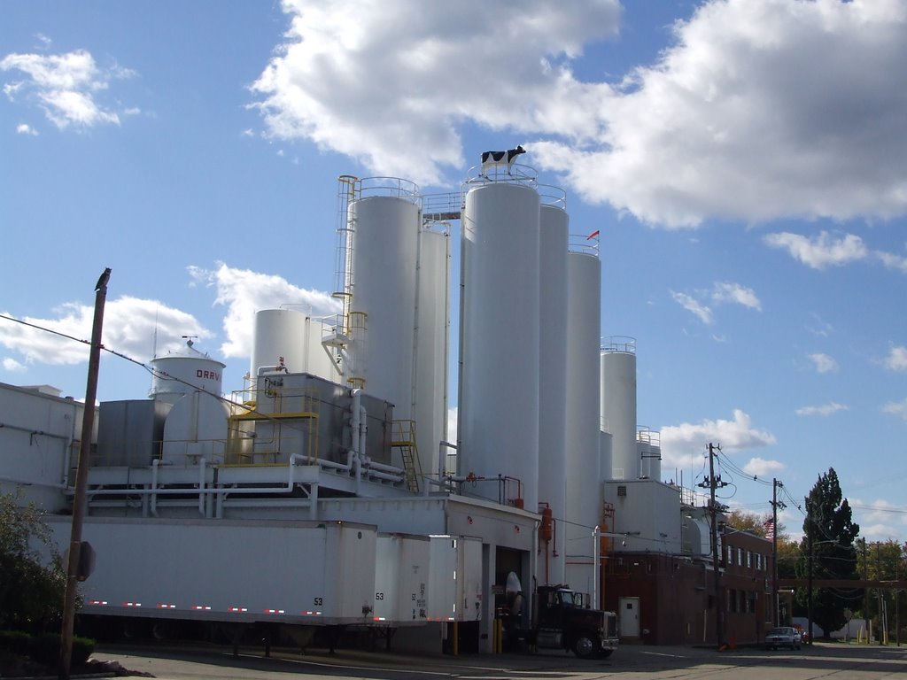 Smiths Milk Dairy