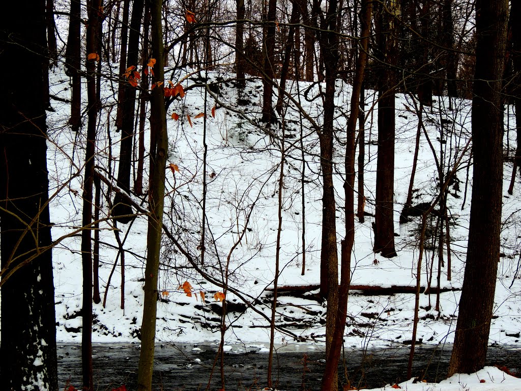 Cold View