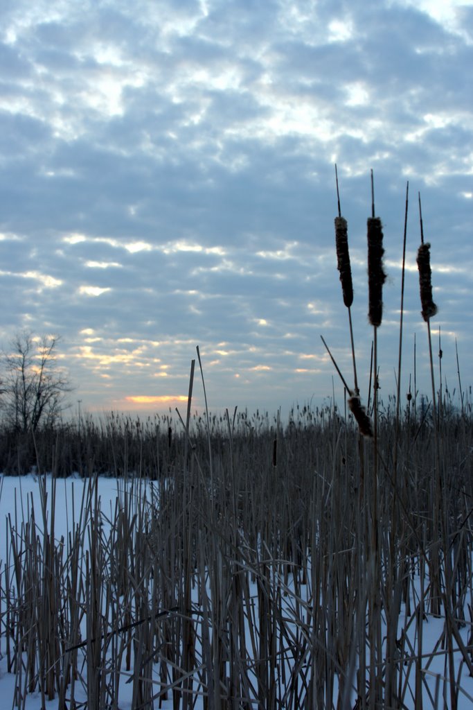 Yeagers Pond