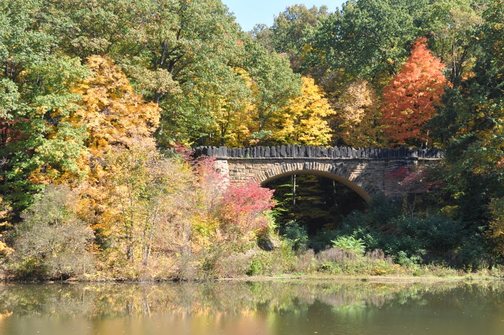 Mill Creek Park Lake Glacier Stone Bridge Fall 2010