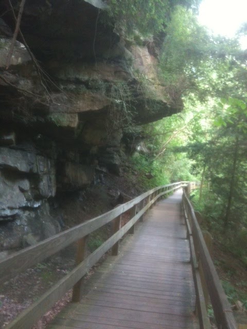 Trails in Mill Creek Park