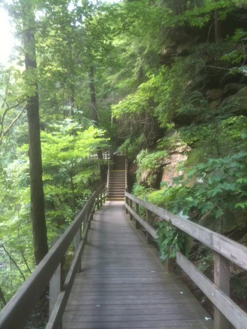 Trails in Mill Creek Park