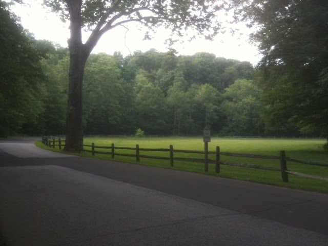 Open field in Mill Creek Park
