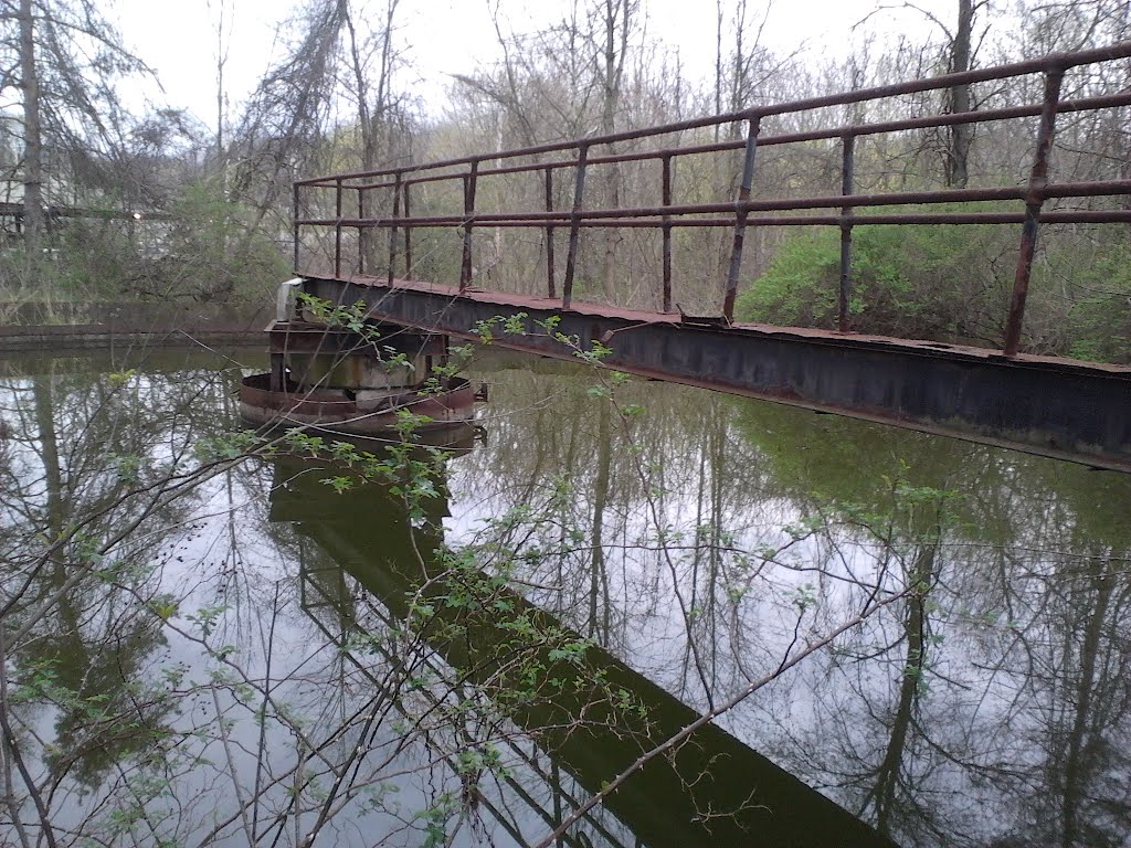 Solemn Cesspool