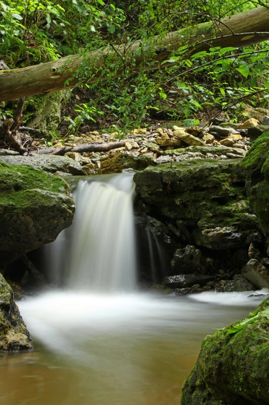 Hoffman Branch in Clifty Falls State Park Madison, IN