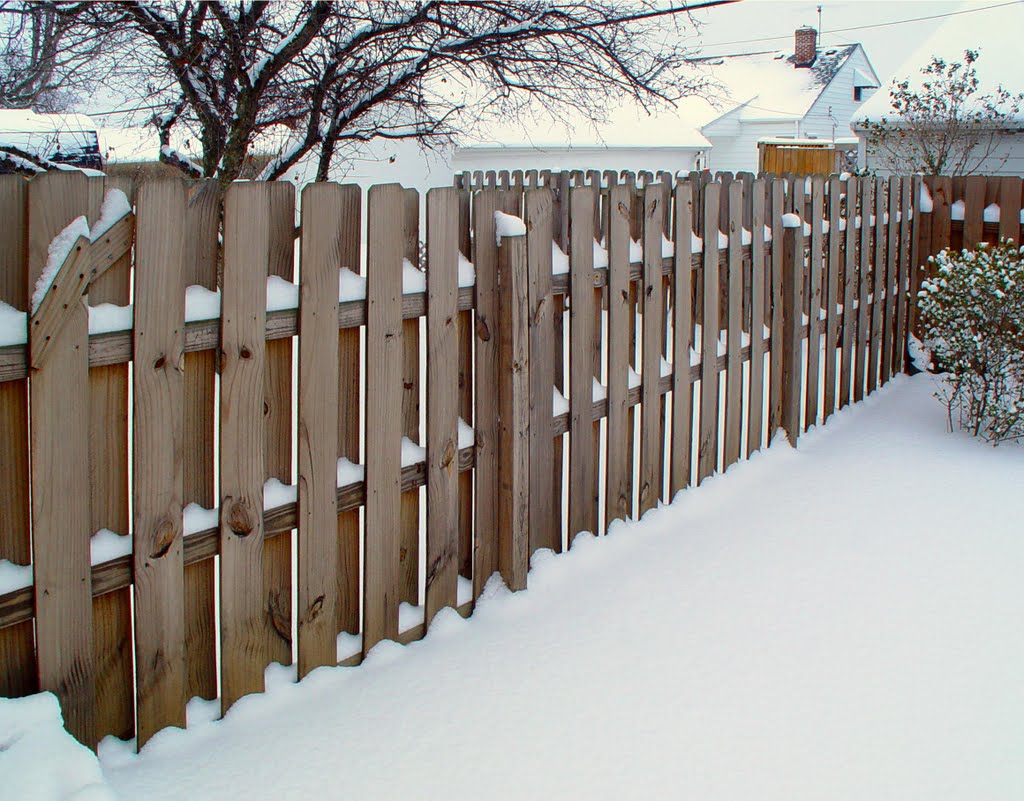 My Backyard