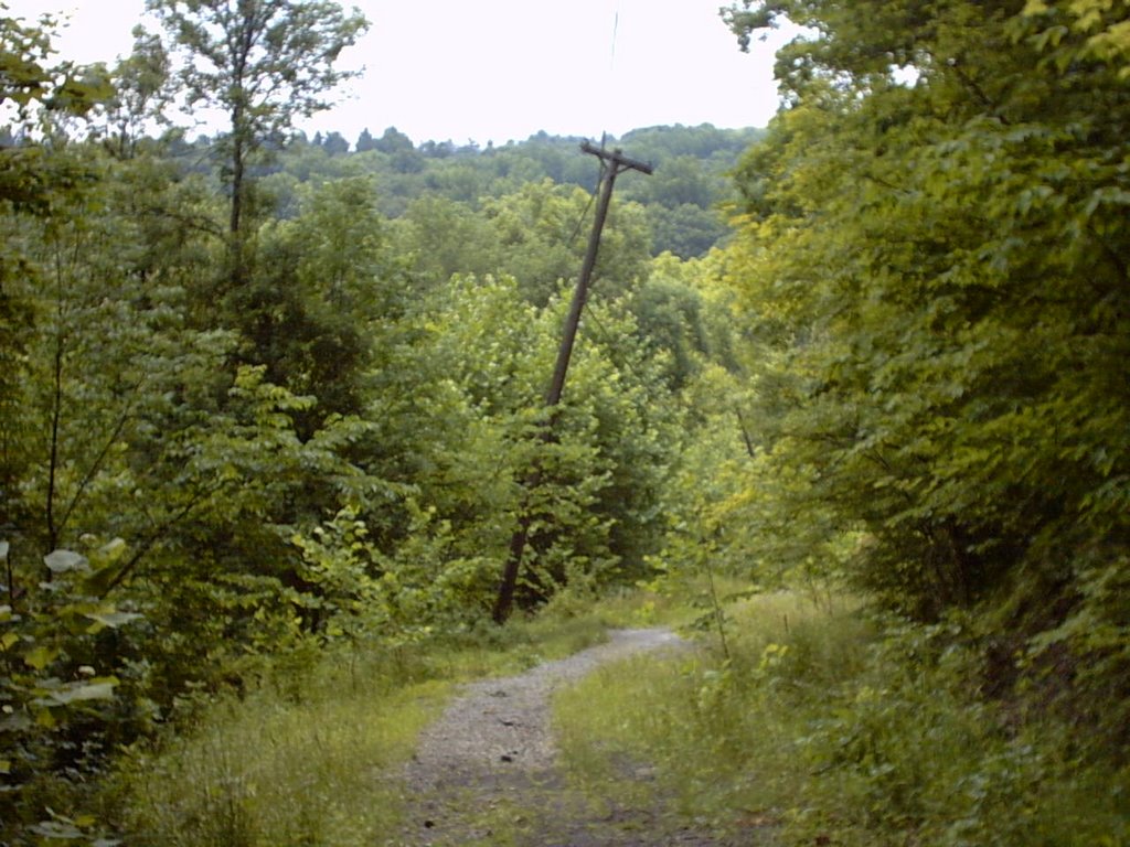 abandoned road, peninsula
