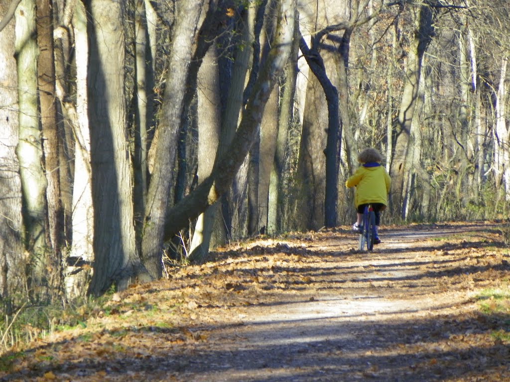 Towpath Rider