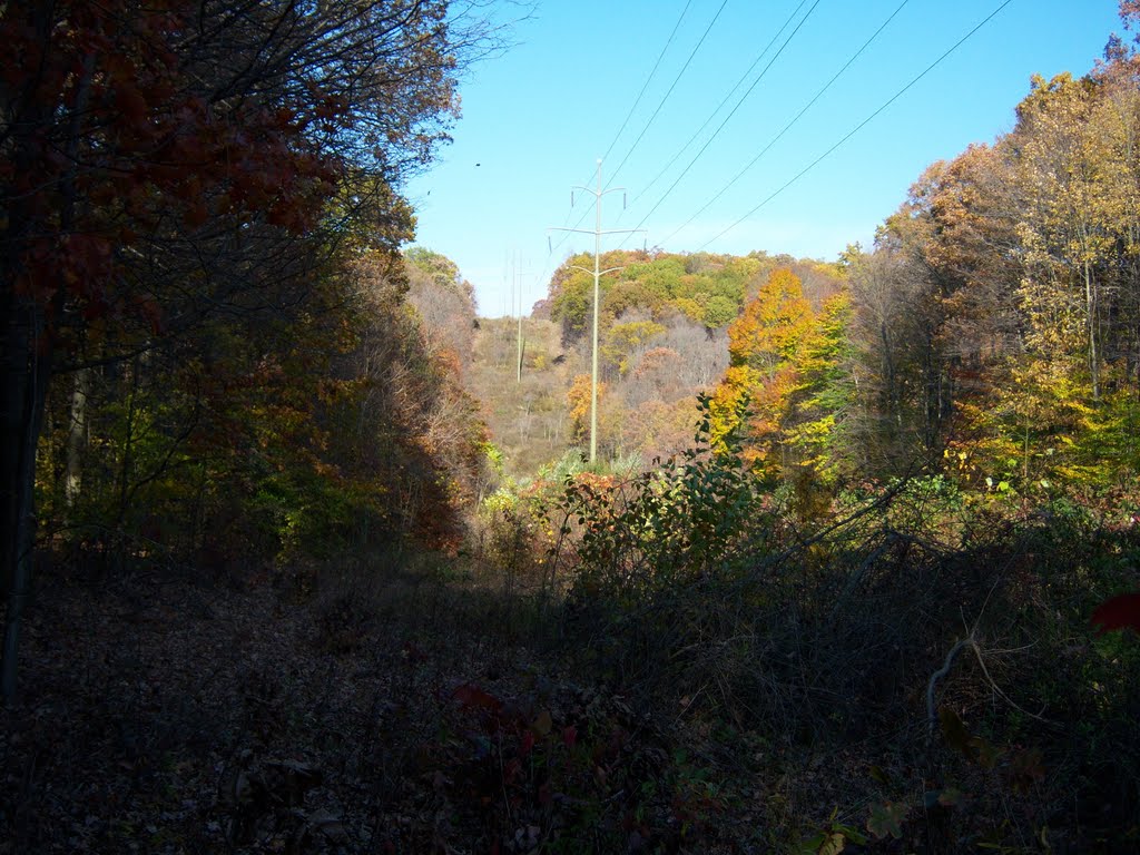 Utility Corridor Along the Buckeye Trail