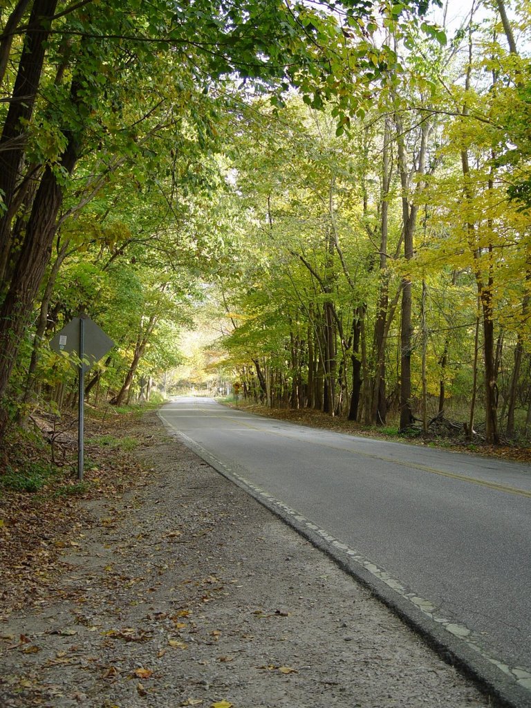 road oneil woods