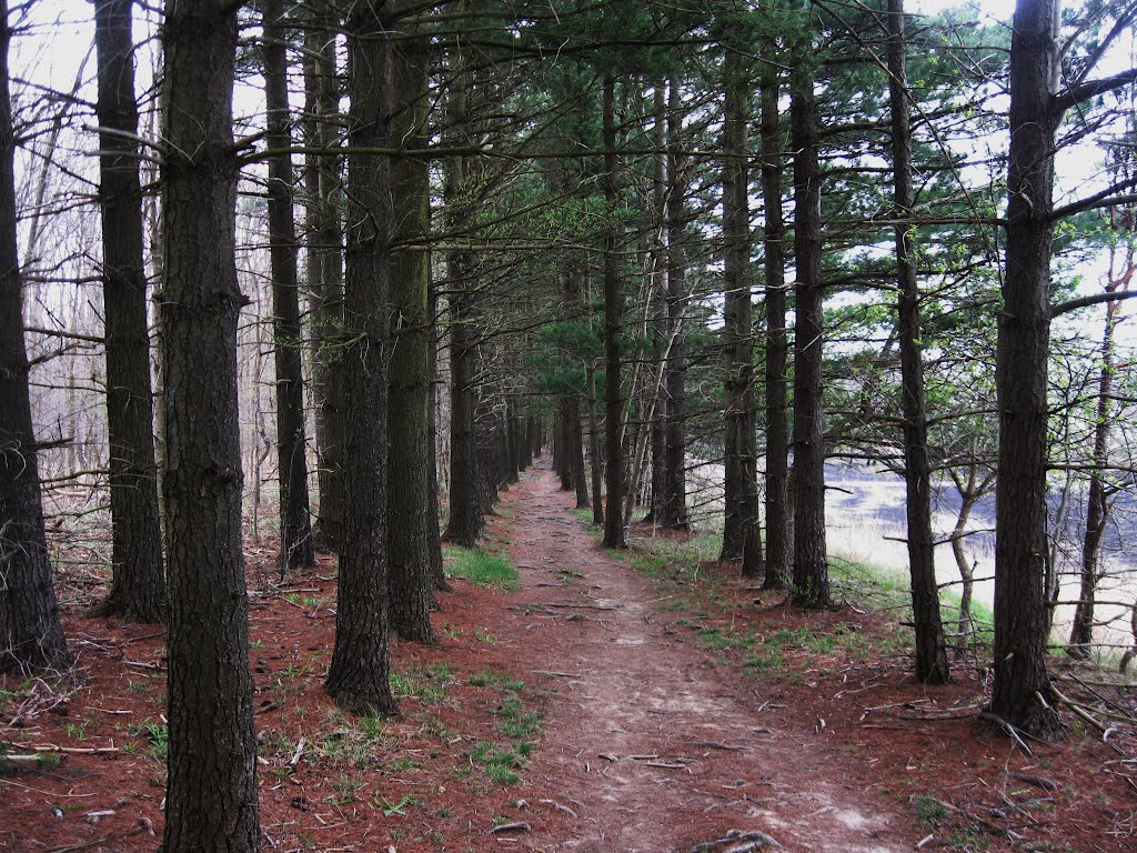 Natures path