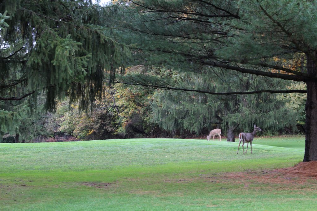 Brandywine Country Club, Cuyahoga Valley National Park