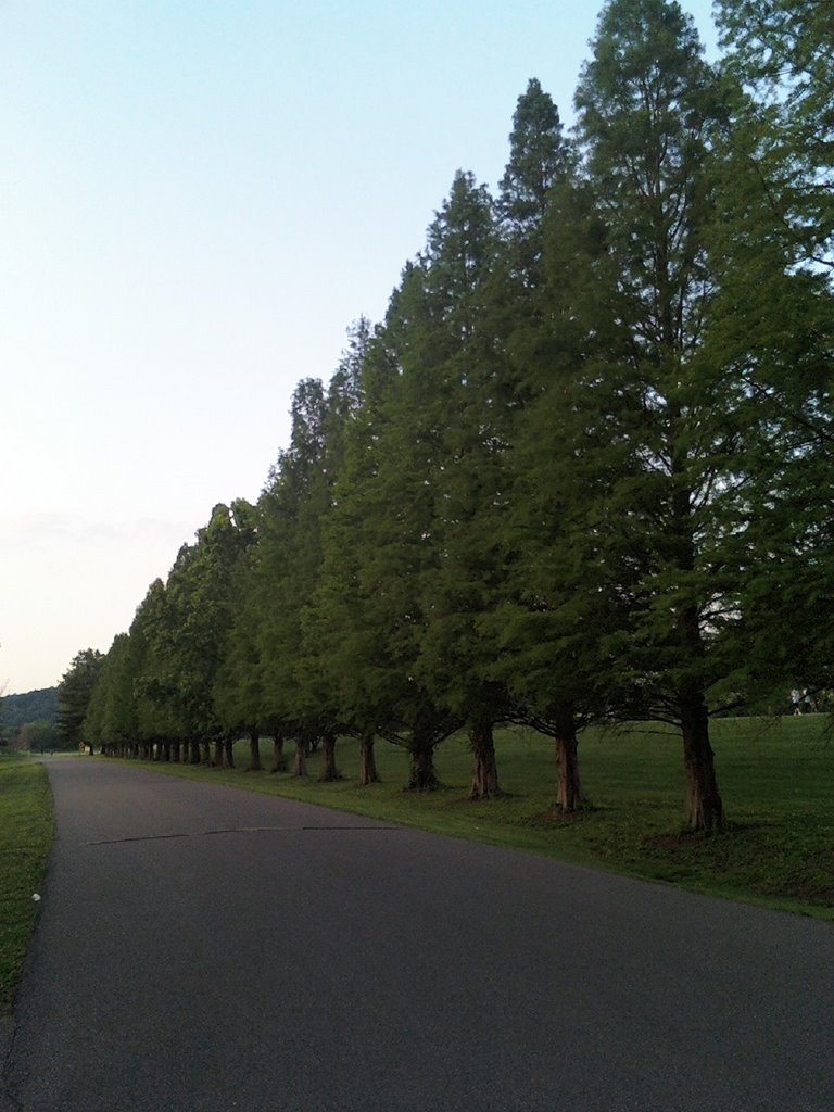 south green