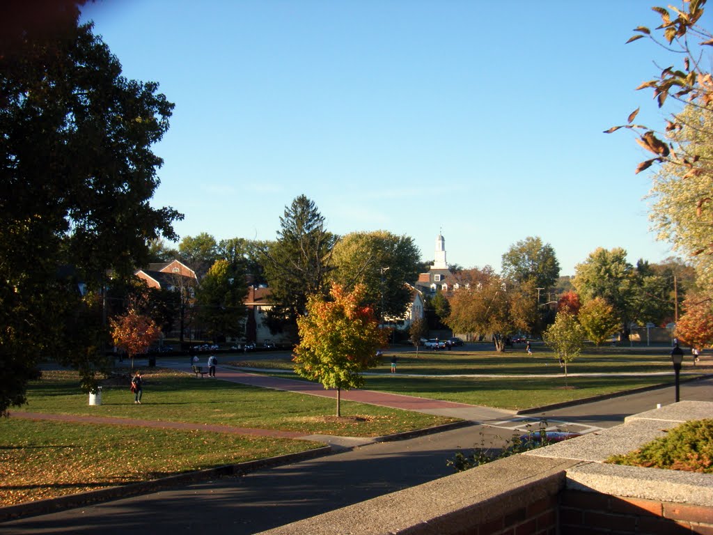 South Green