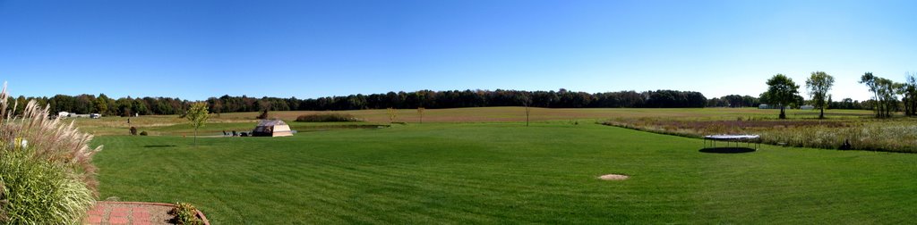 My Old Backyard