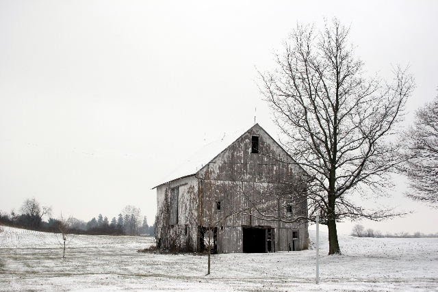 Winter Barn